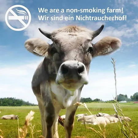 Bio Archehof Zachhiesen * Seekirchen am Wallersee