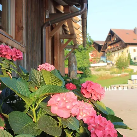 Bio Archehof Zachhiesen Зекирхен-ам-Валлерзе