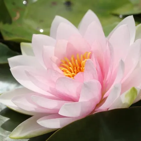 Bio Archehof Zachhiesen *