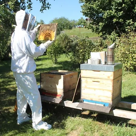 Bio Archehof Zachhiesen * Seekirchen am Wallersee