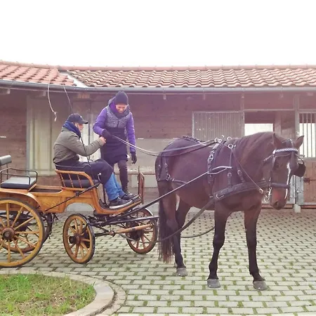 Bio Archehof Zachhiesen Privatunterkunft Seekirchen am Wallersee