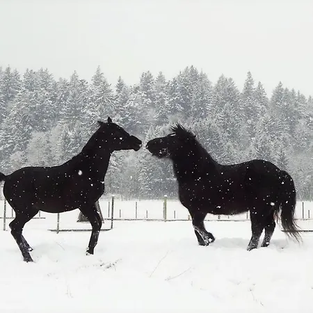 Bio Archehof Zachhiesen * Seekirchen am Wallersee