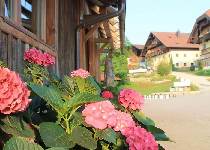 Bio Archehof Zachhiesen Seekirchen am Wallersee