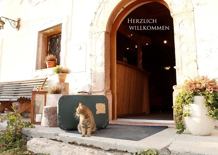 Alloggio in famiglia Bio Archehof Zachhiesen Seekirchen am Wallersee